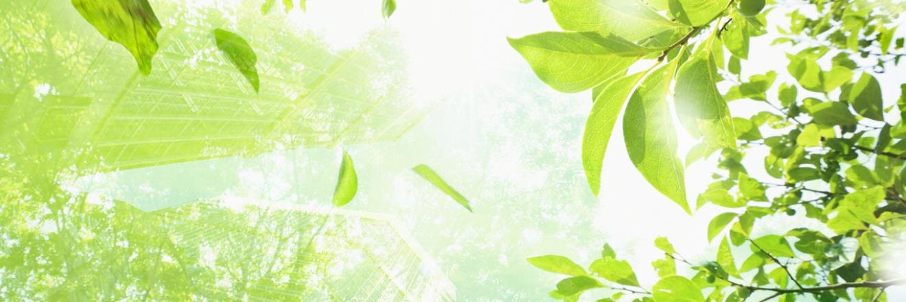 UNU0704's profile banner image
