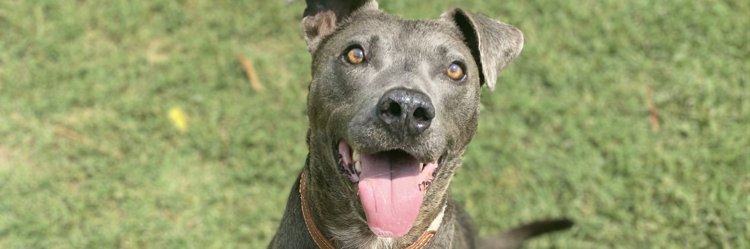 lowkeeyanna's profile banner image