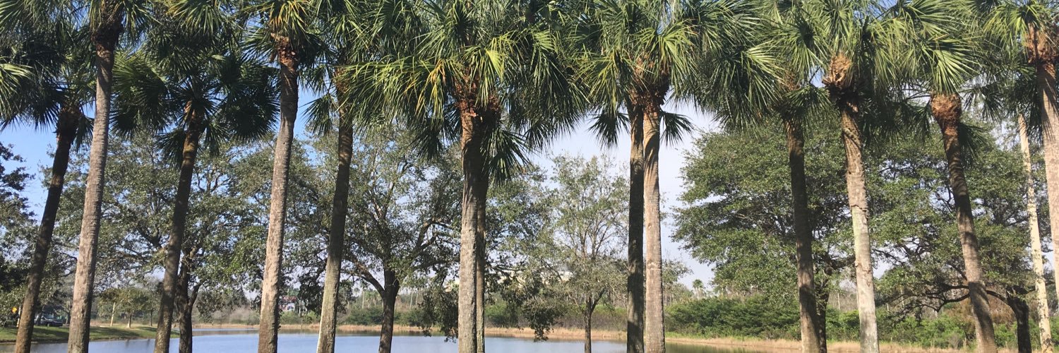 ChelsaArscott's profile banner image