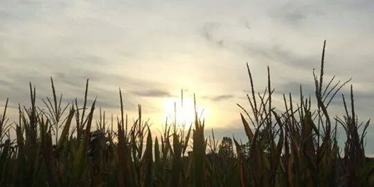 PhilEtheridge's profile banner image