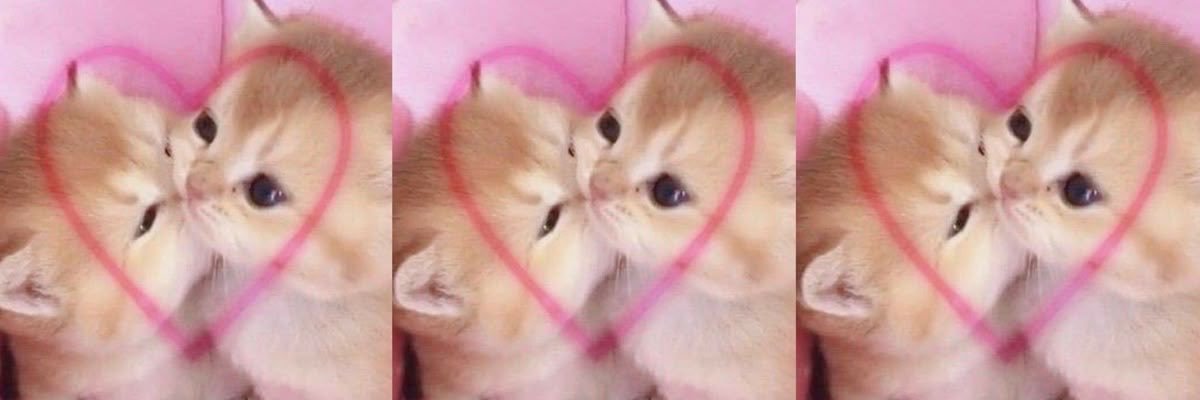 m4biness's profile banner image