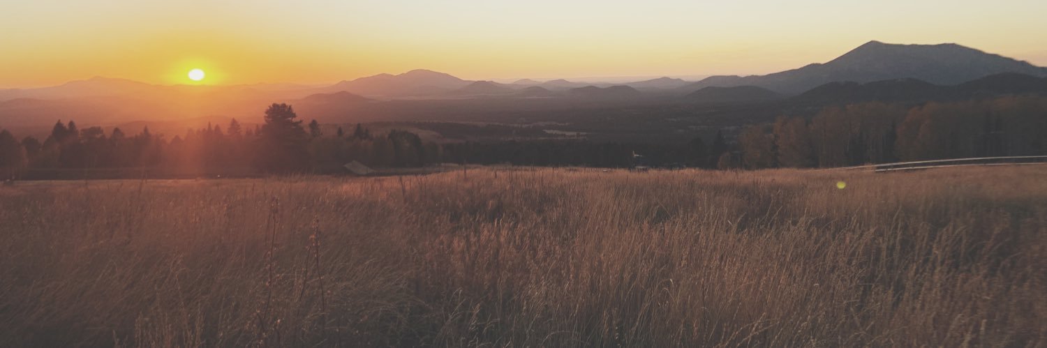 sam_rosenbach's profile banner image