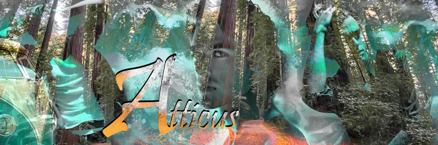 MyArrowBends's profile banner image