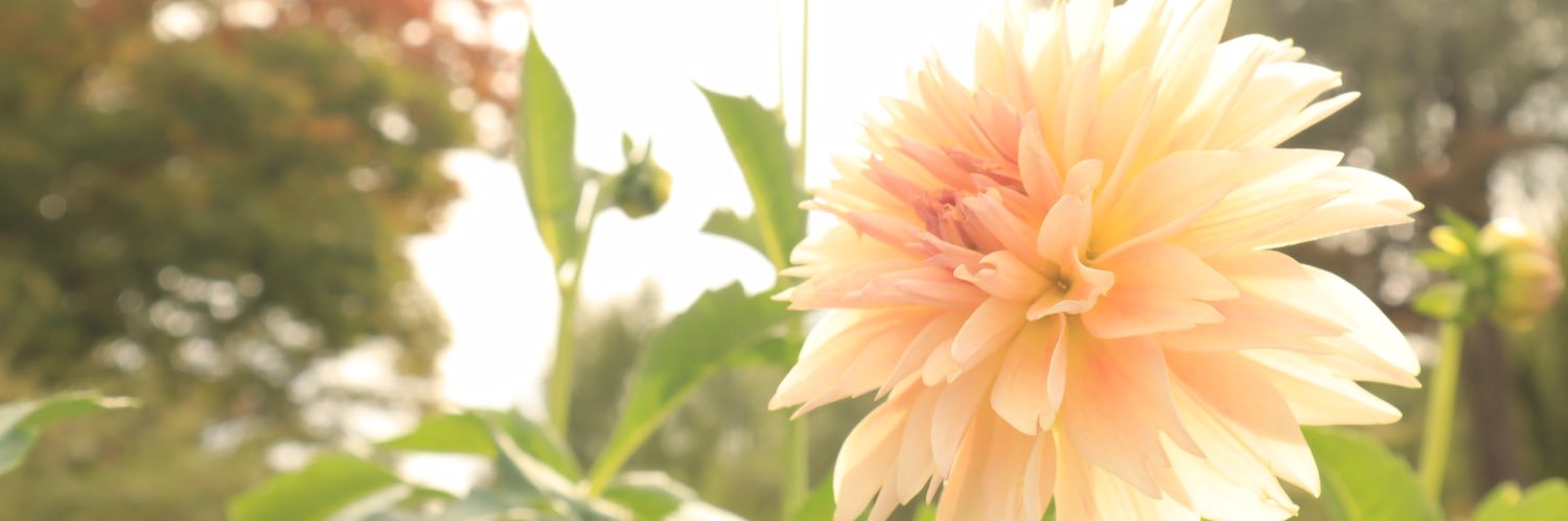 1Isflat's profile banner image