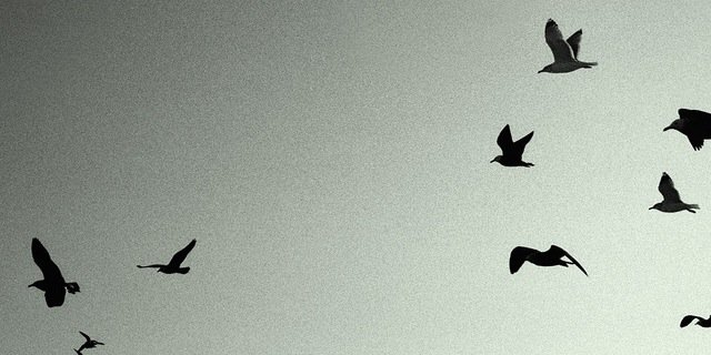AdScottJones's profile banner image
