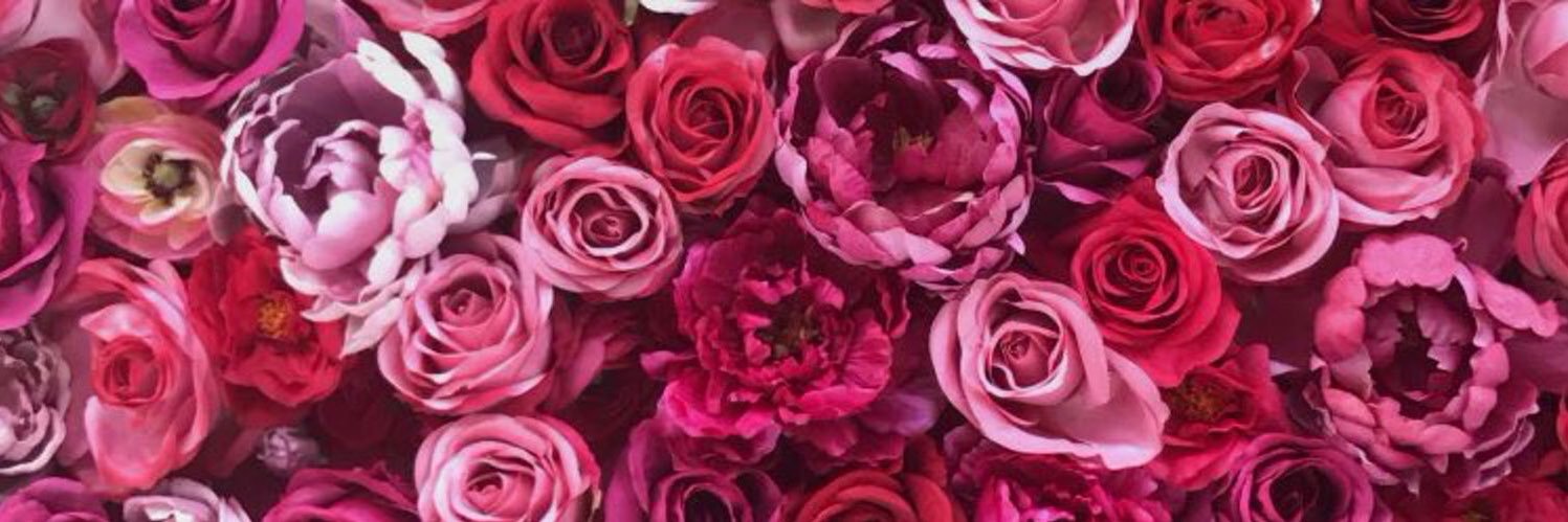 desviolaa's profile banner image