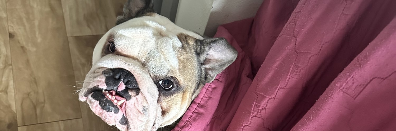 _CardiaQ's profile banner image