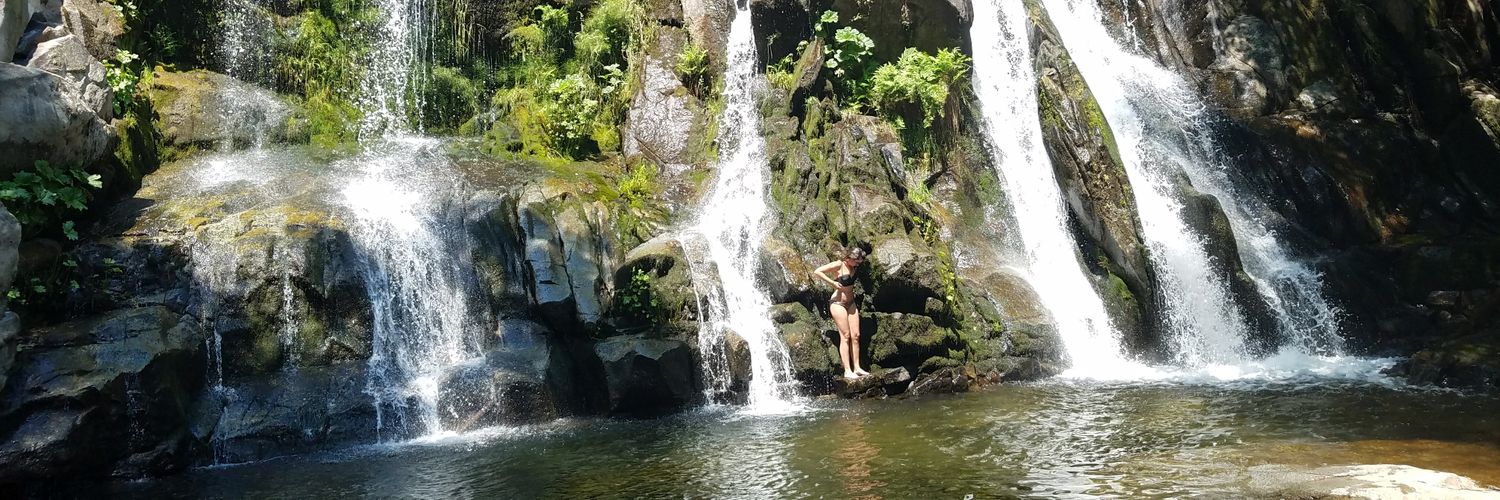 Darcey Severns banner