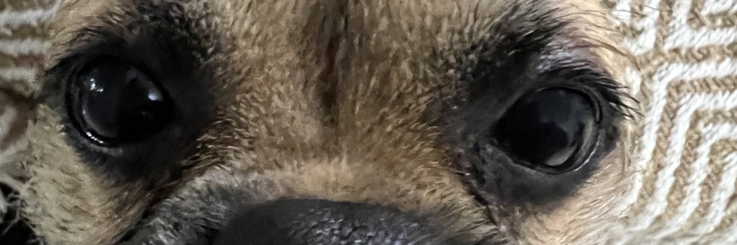 Magrão🇪🇪 banner