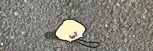 라자 banner
