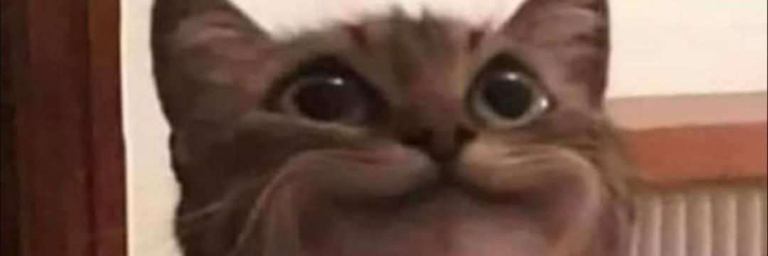 DanFromVirginia's profile banner image