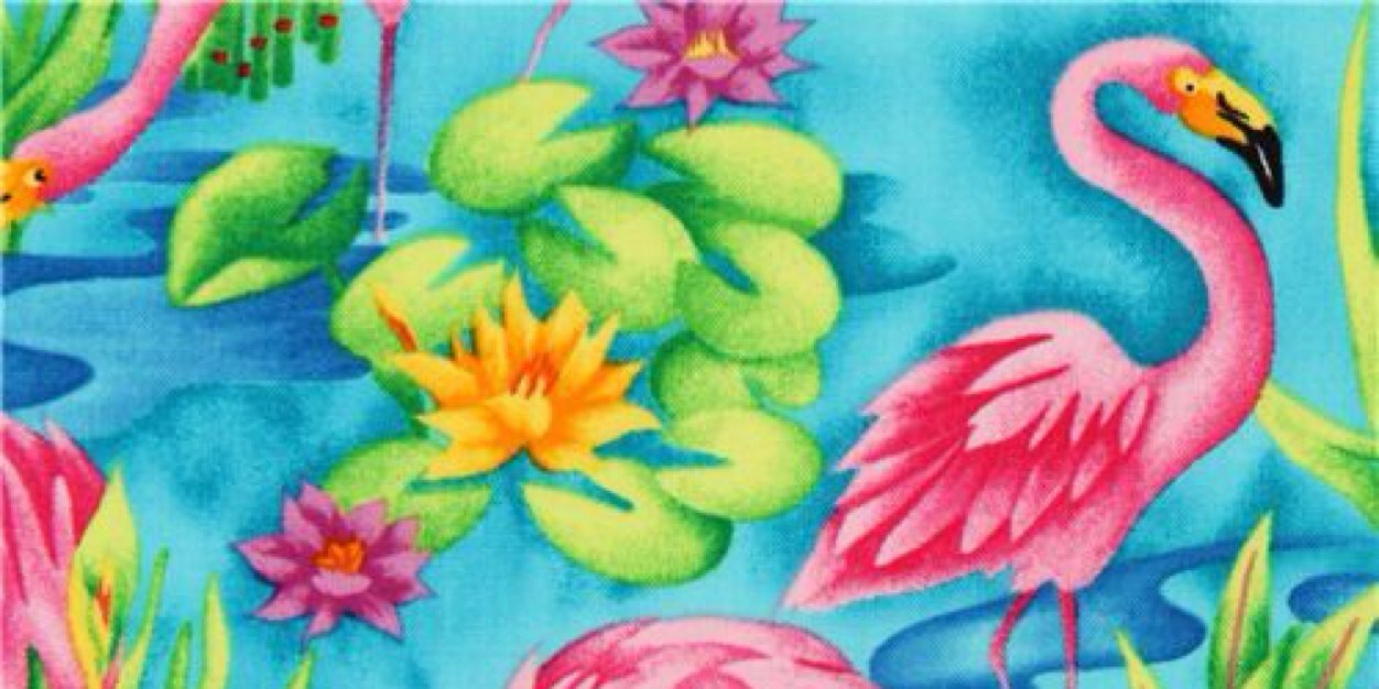 CaR_Nosetti's profile banner image