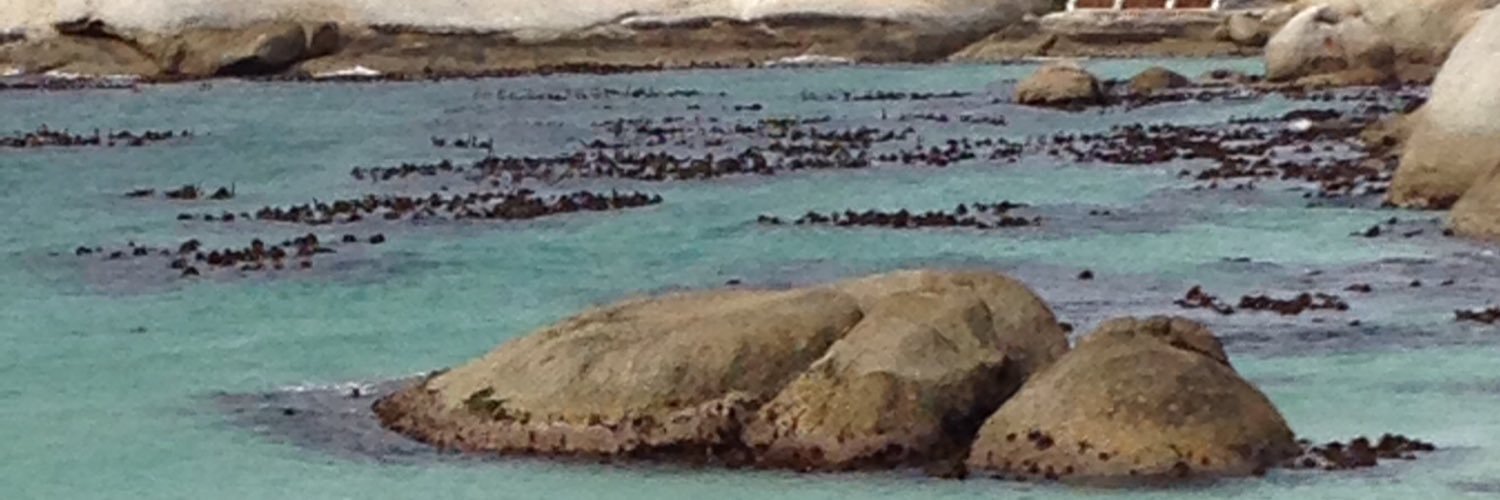 maynar44's profile banner image