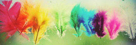 priskagc's profile banner image