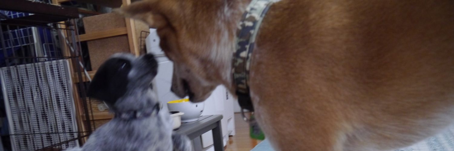 hey_joe3's profile banner image