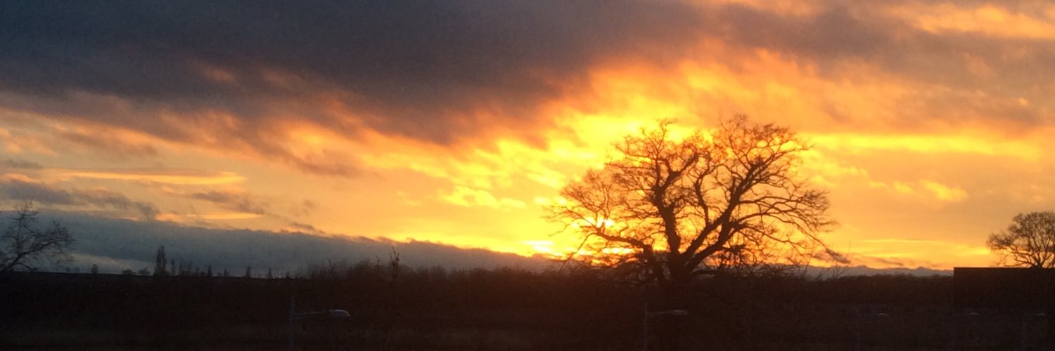 Shima Barakat banner