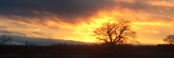 valuesdoc Profile Banner