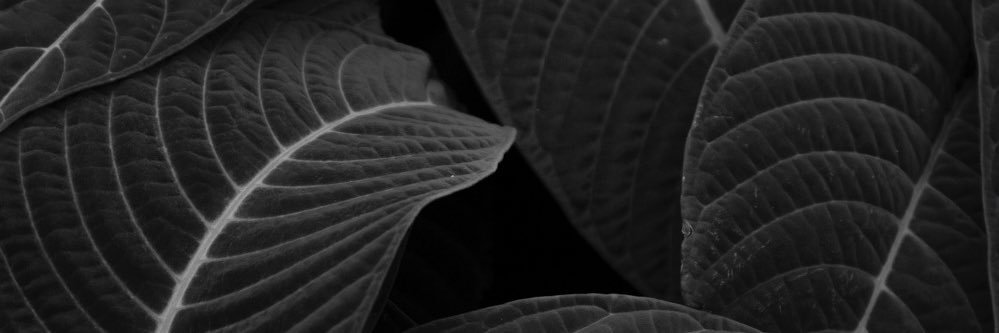 JulioChapa11's profile banner image