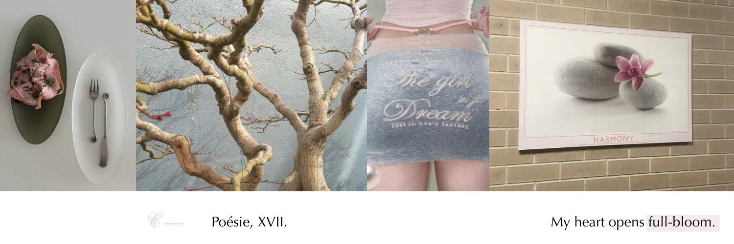 chaccu's profile banner image