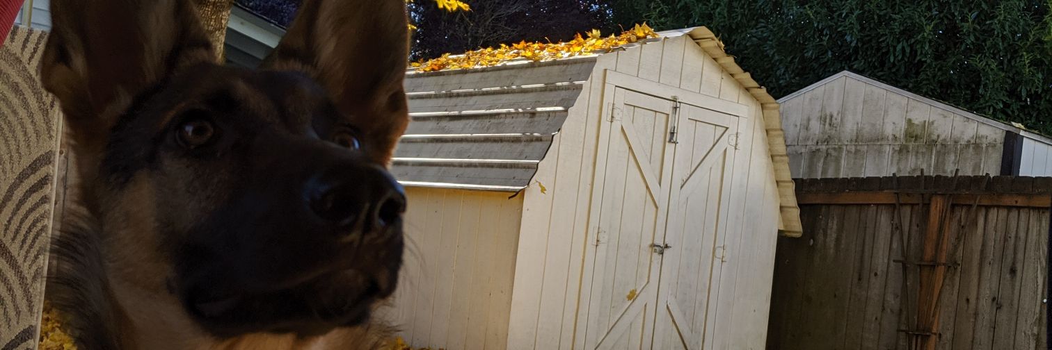 Ryanryanford's profile banner image