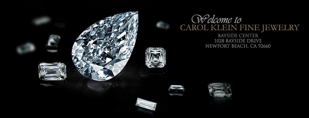 CarolKleinFJ's profile banner image