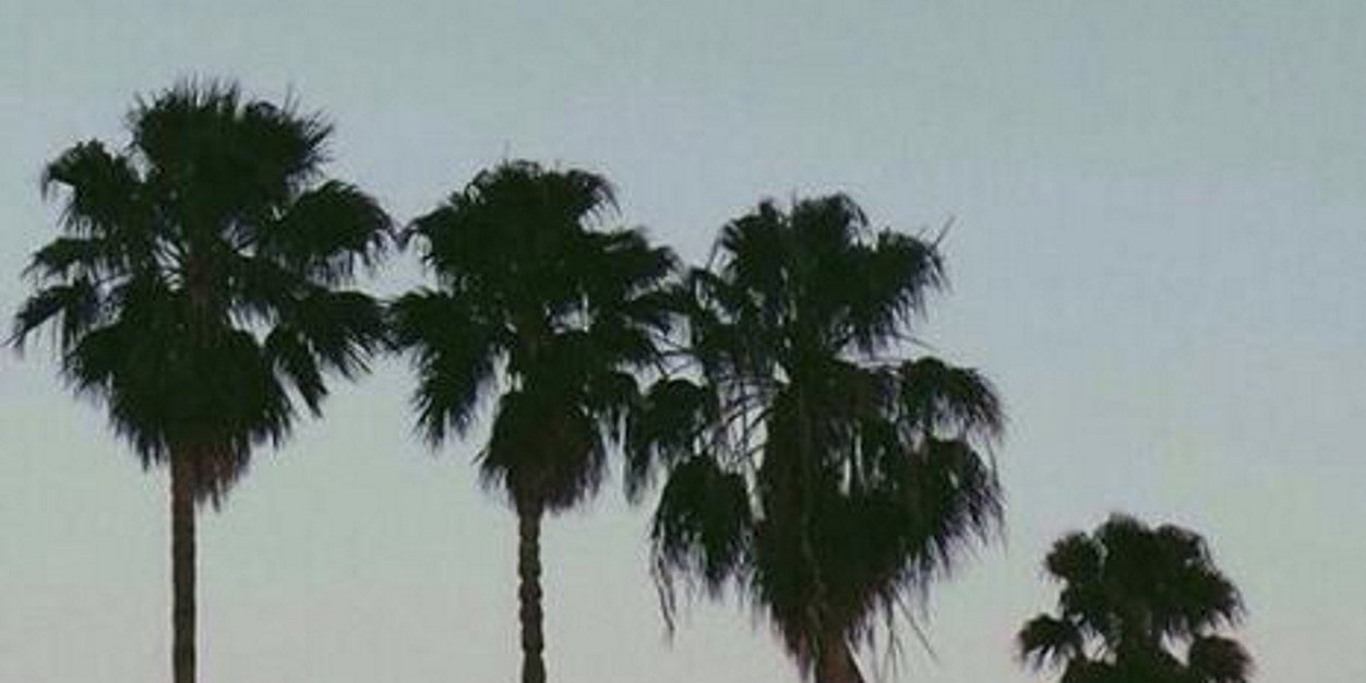 s0fncy's profile banner image