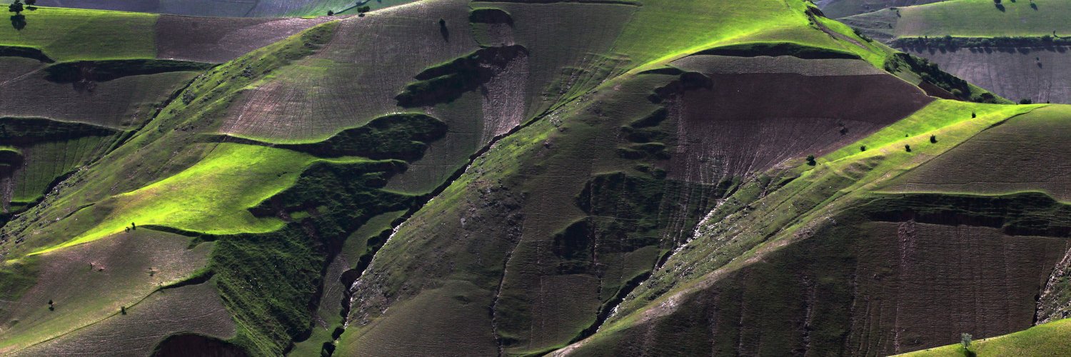 Deborah Lyons banner