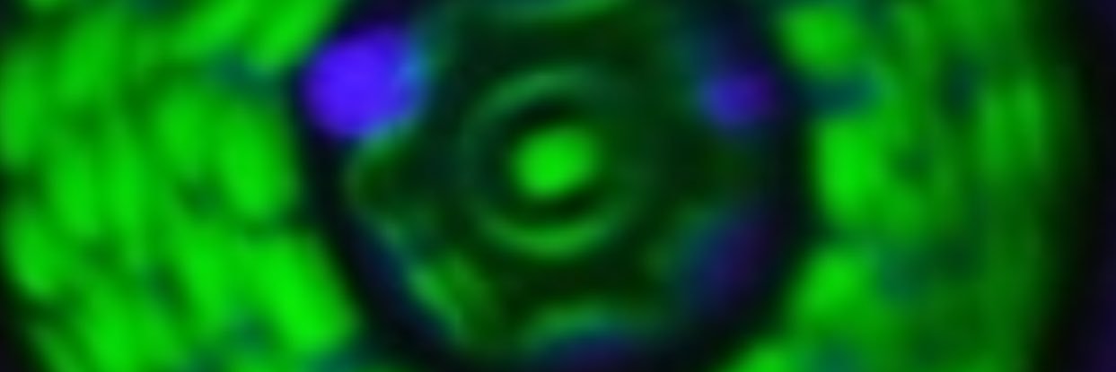 tmeade98's profile banner image