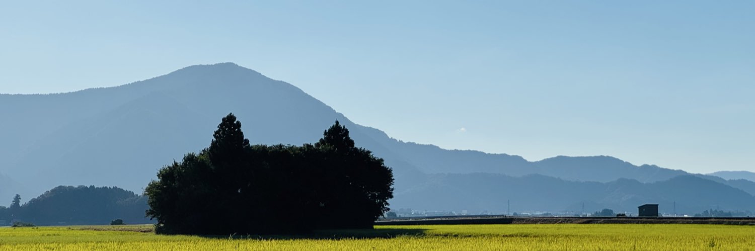 ila0407's profile banner image