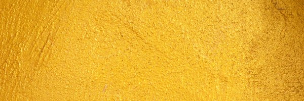 sheisjayeli Profile Banner