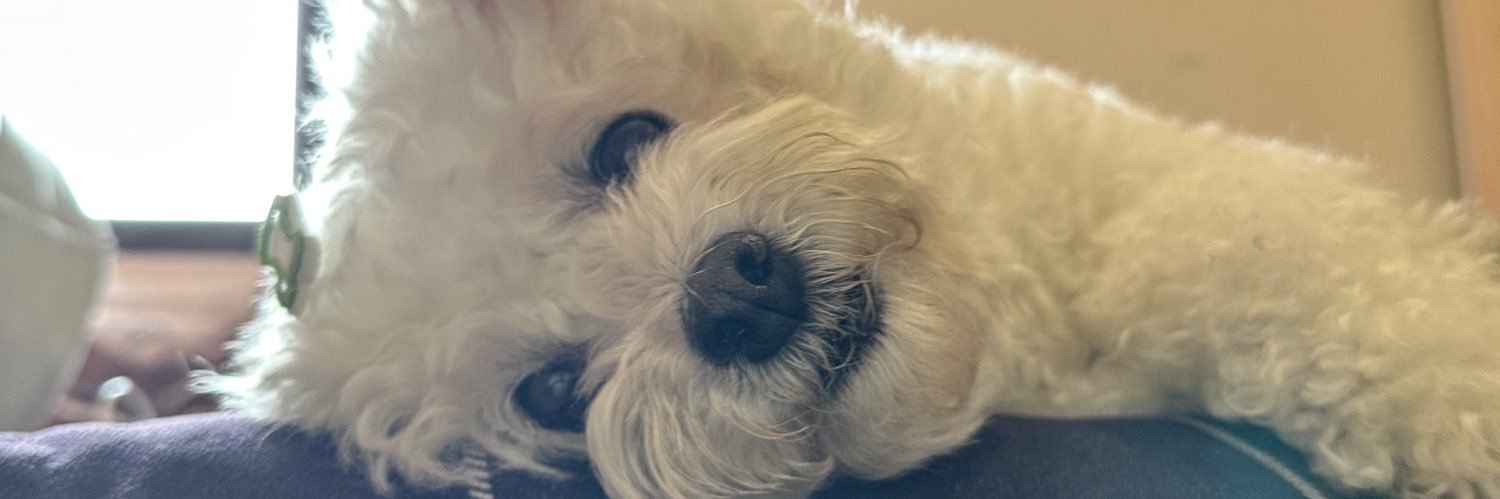 heloodavid's profile banner image