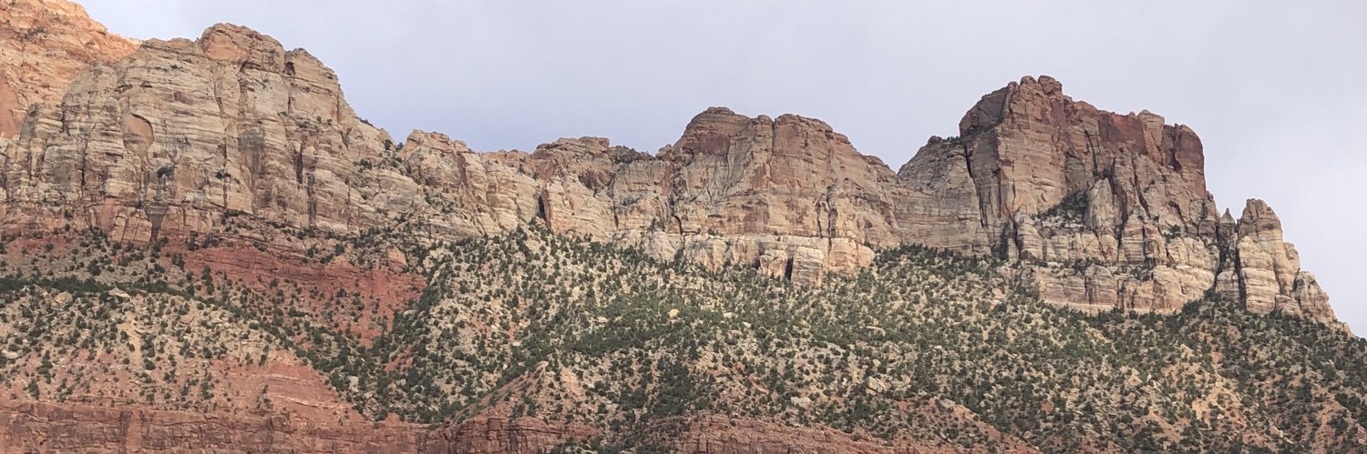 millyj1's profile banner image