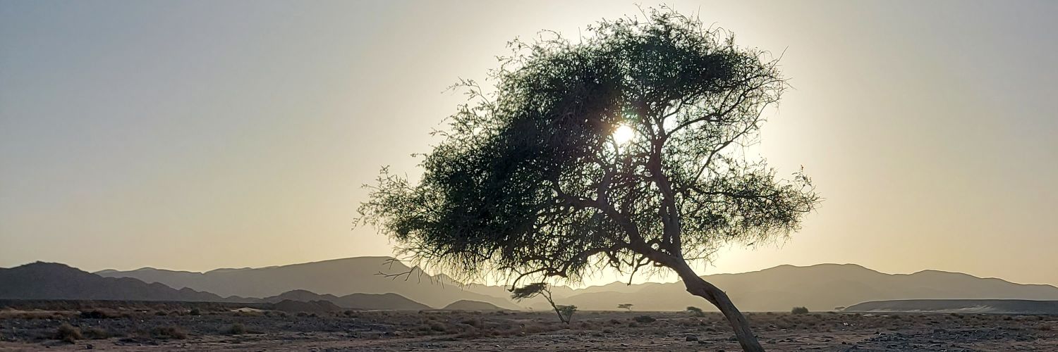 Mory__omar's profile banner image