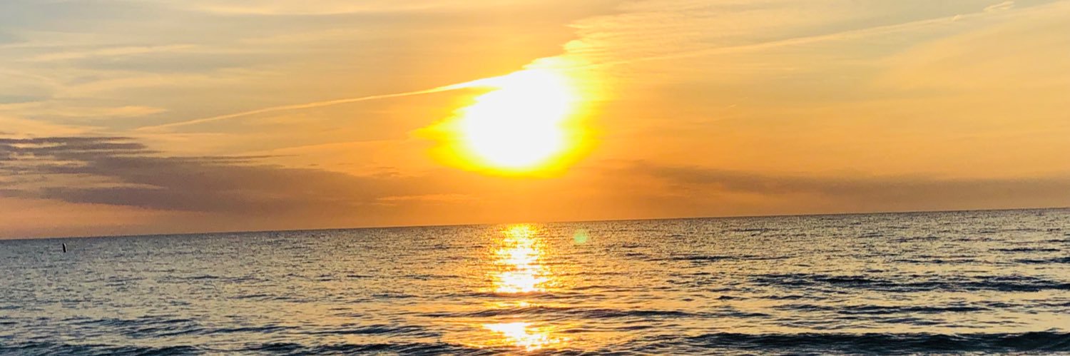 lizcomer's profile banner image
