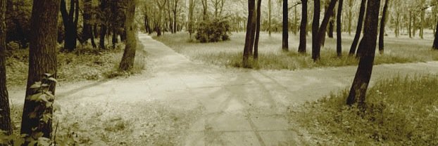 CharmsDaughter's profile banner image