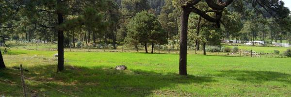 Zona Ajusco Tlalpan Profile Banner