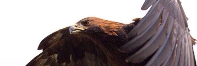 nabeelr777's profile banner image