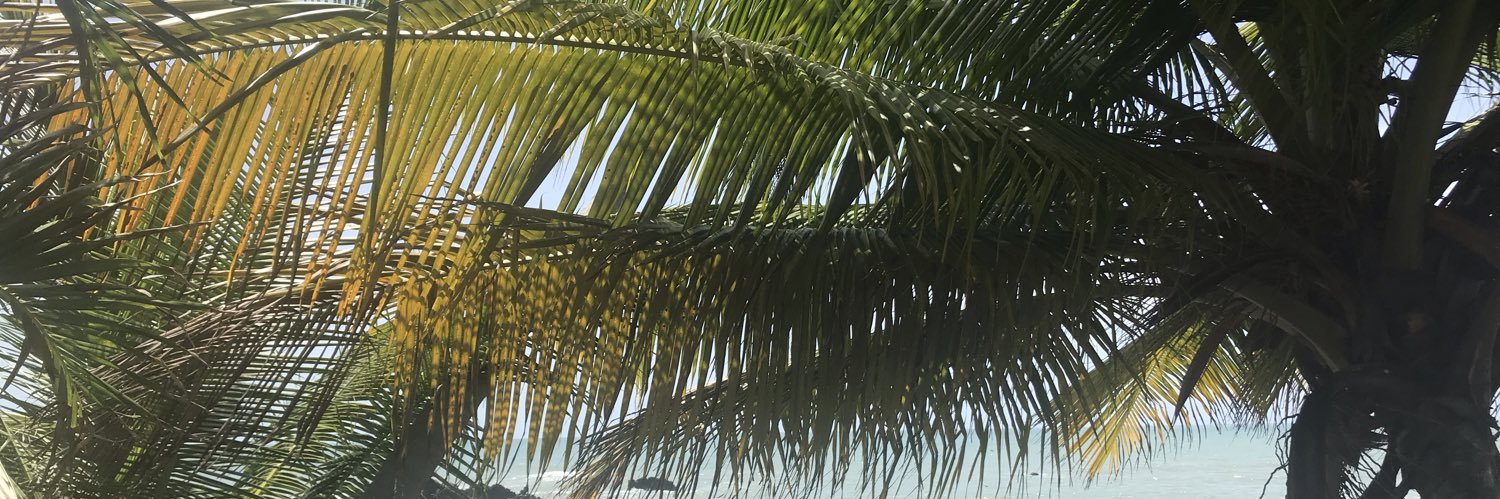 alyssabernard's profile banner image