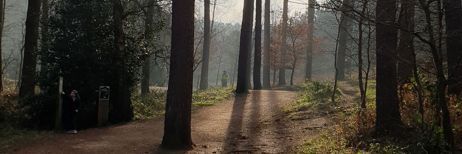 Paulapep75's profile banner image