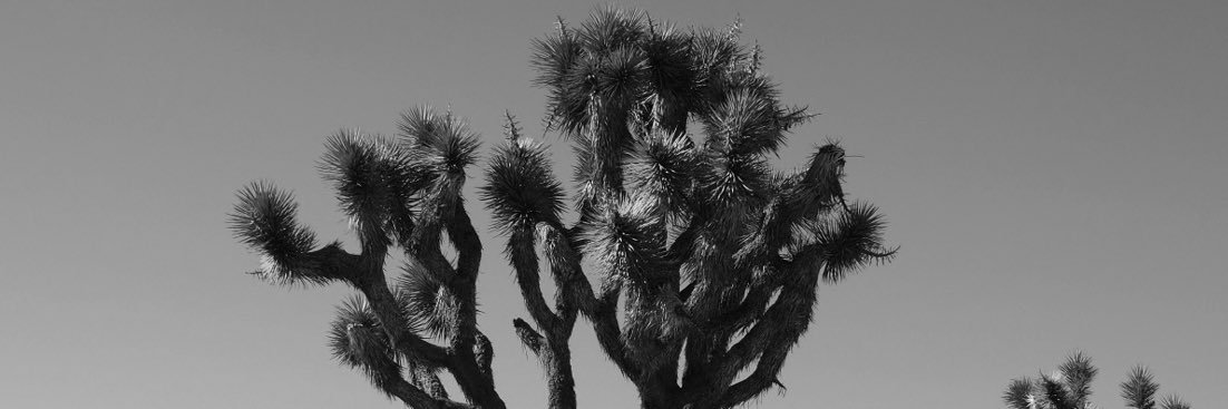 Ayo_Blu's profile banner image