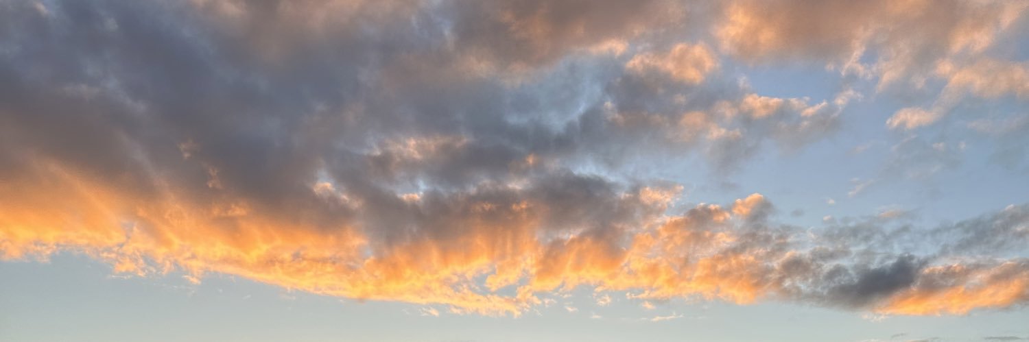 AlisonB_Johnson's profile banner image