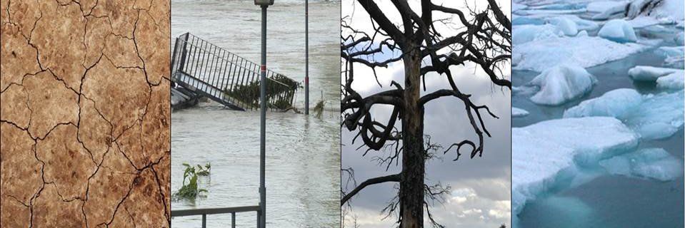 Jose Antonio Martin banner