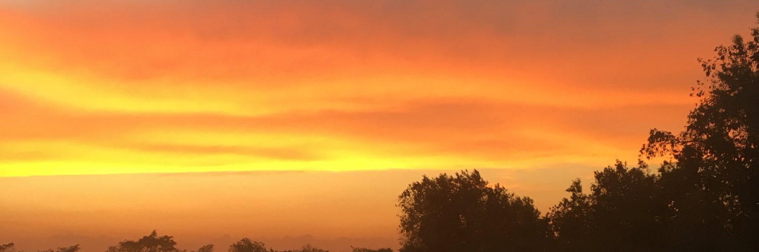 Wizardofraw's profile banner image