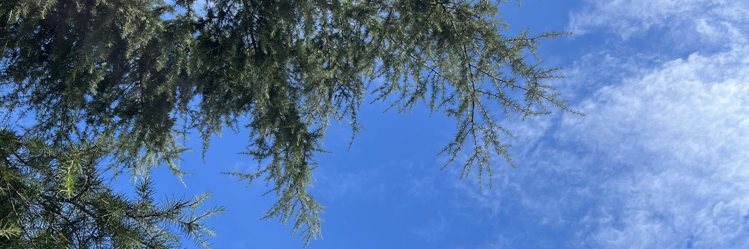 azizeynkk's profile banner image