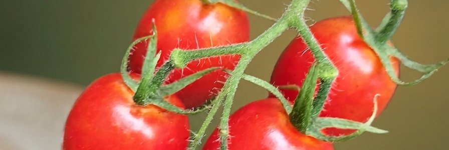 wtok33's profile banner image