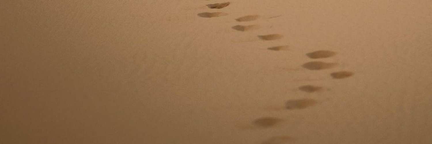 Azieerl5's profile banner image
