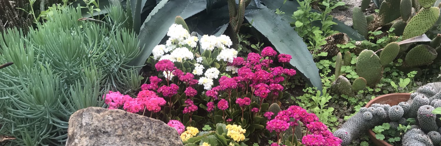 RWPBotanicalCtr's profile banner image