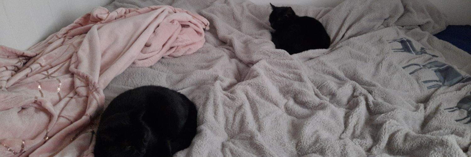 lyndsann89's profile banner image