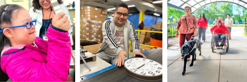 Chicago Lighthouse banner