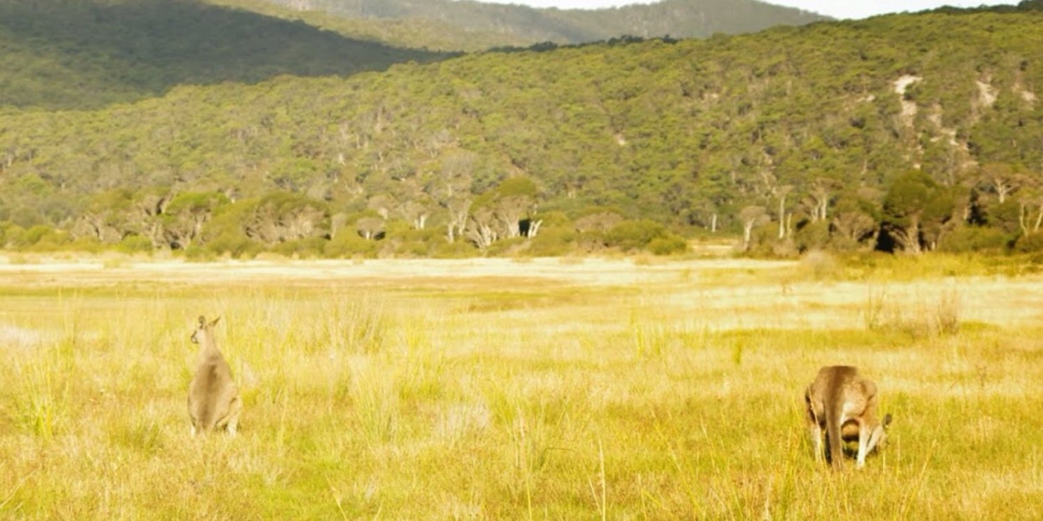 PierroBrdr's profile banner image